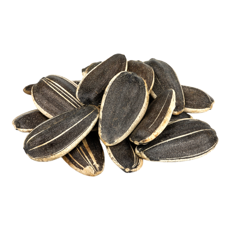 Fresh Sunflower Seeds Salted - CrescentMarket